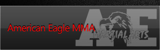 Bergen County mixed Martial Arts
